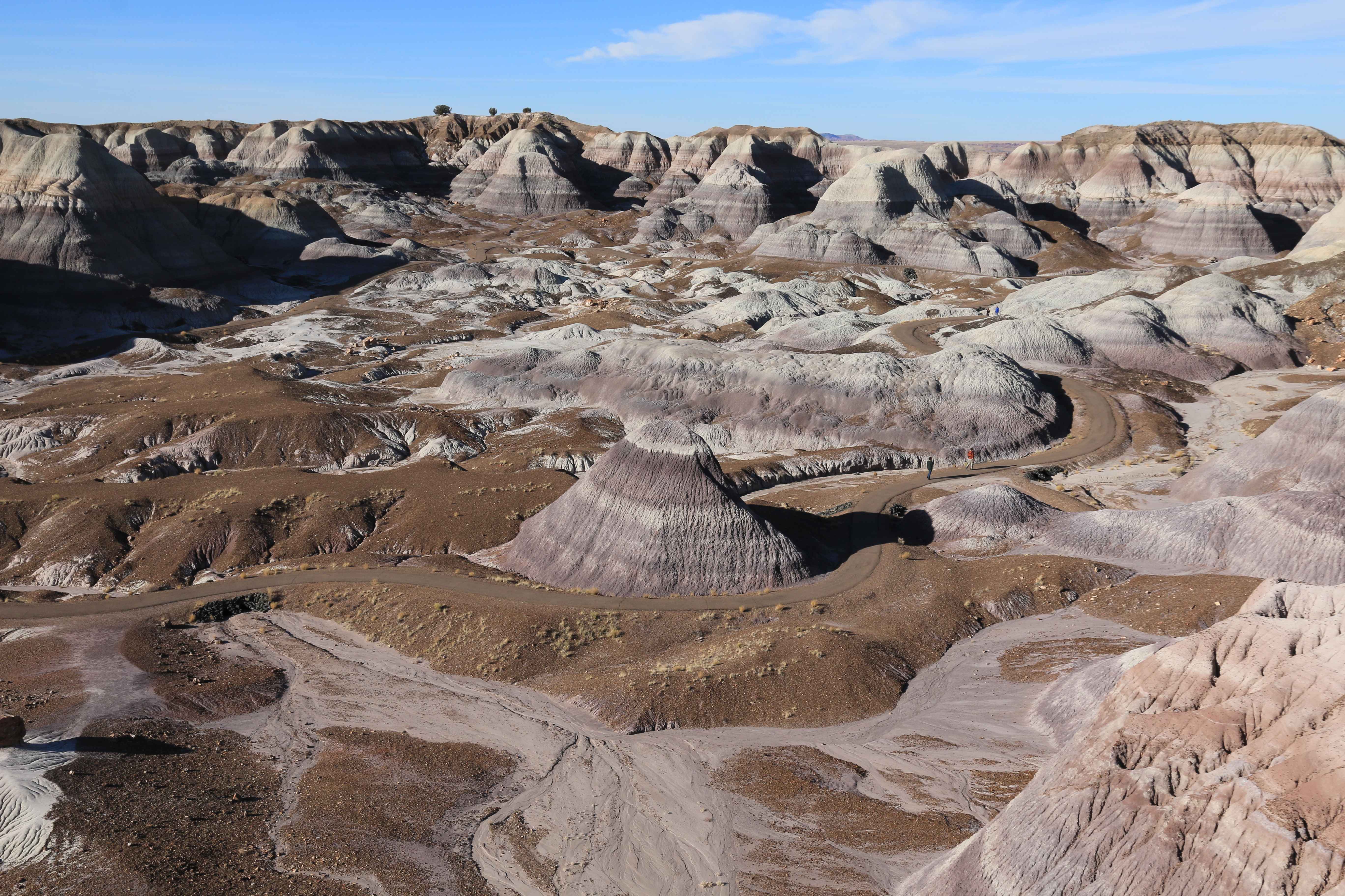 Petrified Forest NP